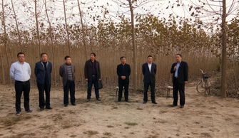 N商丘柘城县林业工作站组织技术骨干 观摩学习优质种苗及经济林示范园