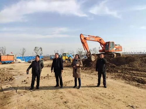 冬春造林准备,公园城市绿化,森林景观提升和补植,特色经济林果及林
