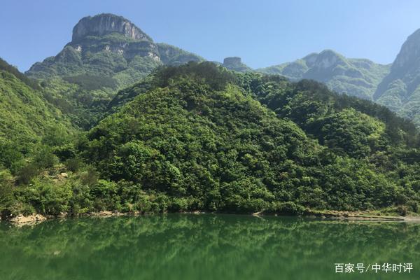 夏凉,除了果园外,这周边附近还有蔬菜种植,畜禽养殖,绿化苗,经济林苗