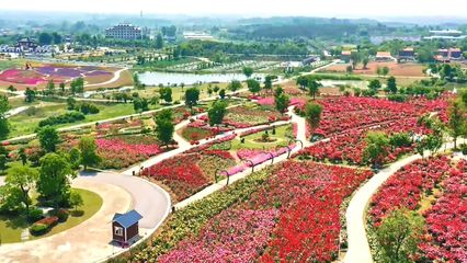 应城:打造旅游公路示范线 发展绿水青山温泉养生游