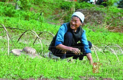 嵩明:水源区显现生态效益_新闻中心_新浪网