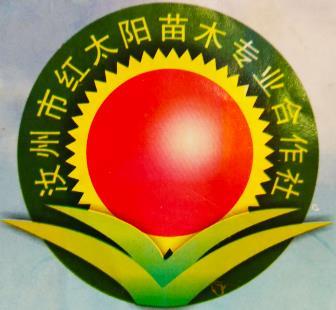 企业简介