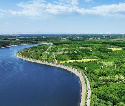 生态+经济+文旅 漷县林场打造大运河生态旅游综合体