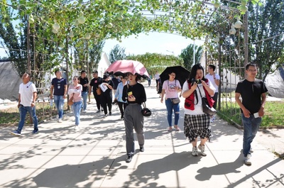 绿色产业成为乡村振兴有力抓手!全国网络名博齐为绿色廊坊点赞