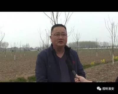 钦工镇宋集村:发展林下经济 开拓产业富民新路径