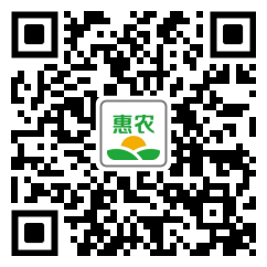 [普通罗汉松普通罗汉松 本苗圃常年对外供应,造林苗绿化苗经济林苗珍稀树苗等袋苗及祼根价格1株
