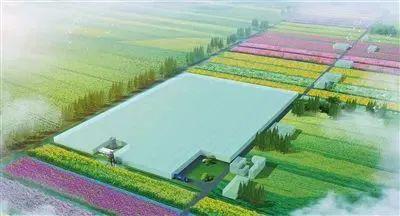总投资约1亿元,崇明这个项目正式投入运营